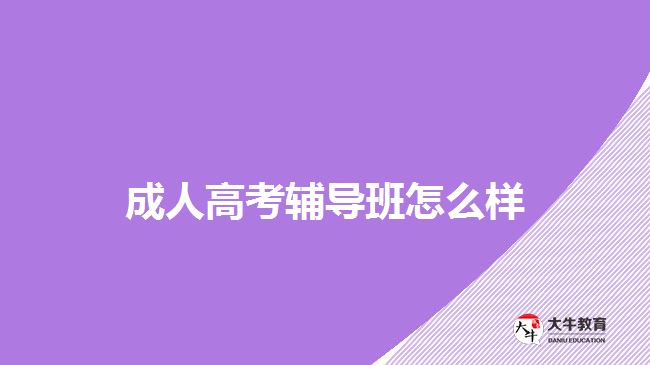 成人高考輔導(dǎo)班怎么樣