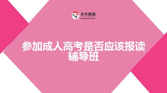 成人高考考前輔導(dǎo)