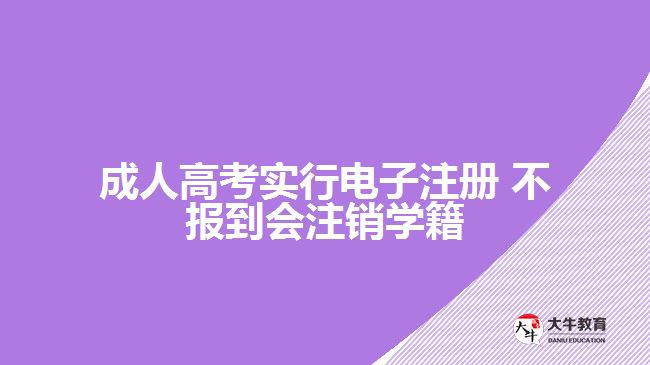 成人高考實(shí)行電子注冊(cè) 不報(bào)到會(huì)注銷學(xué)籍