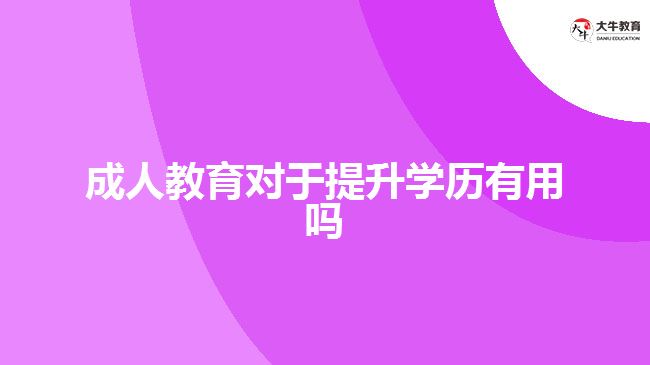 成人教育對于提升學(xué)歷有用嗎