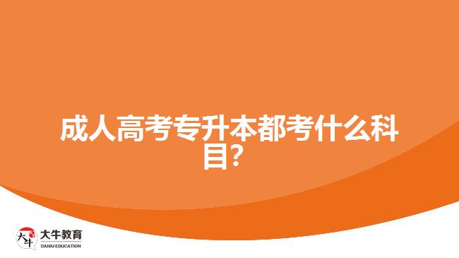 成人高考專升本都考什么科目？