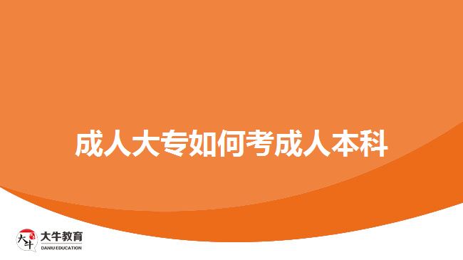 成人大專如何考成人本科