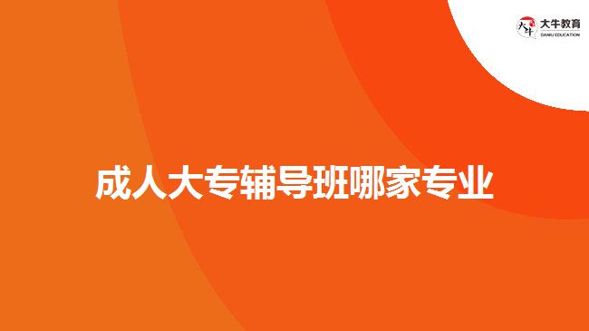 成人大專輔導(dǎo)班哪家專業(yè)?