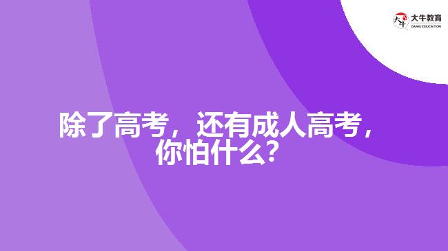 除了高考，還有成人高考，你怕什么？