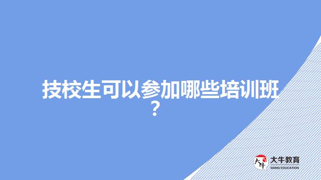 技校生可以參加哪些培訓(xùn)班？