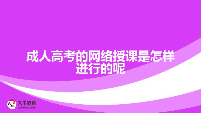 成人高考的網絡授課是怎樣進行的呢