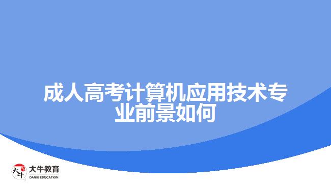 成人高考計算機(jī)應(yīng)用技術(shù)專業(yè)前景如何