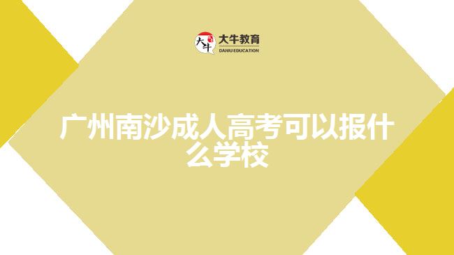 廣州南沙成人高考可以報(bào)什么學(xué)校