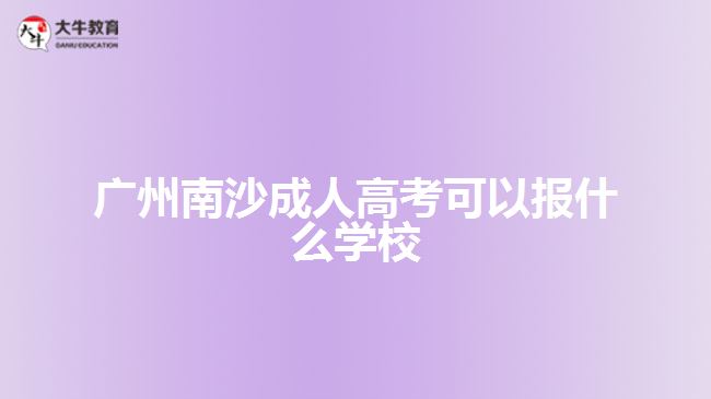 廣州南沙成人高考可以報(bào)什么學(xué)校