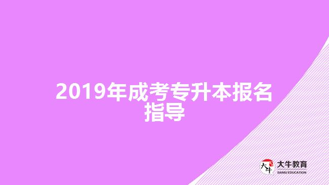 2019年成考專升本報名指導