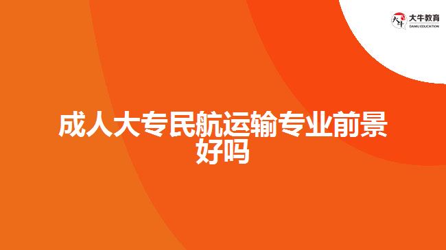 成人大專民航運(yùn)輸專業(yè)前景好嗎