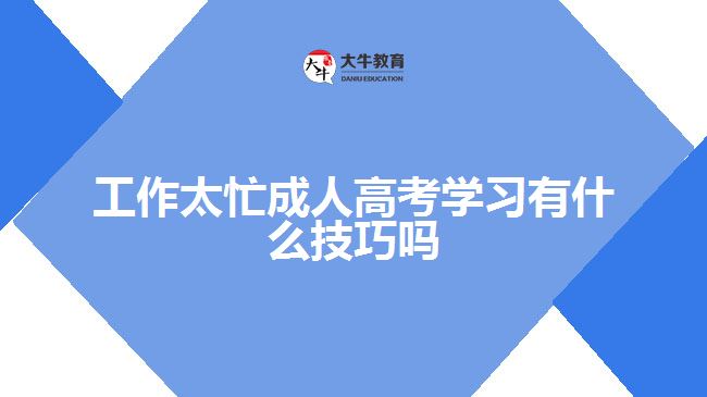 工作太忙成人高考學(xué)習有什么技巧嗎