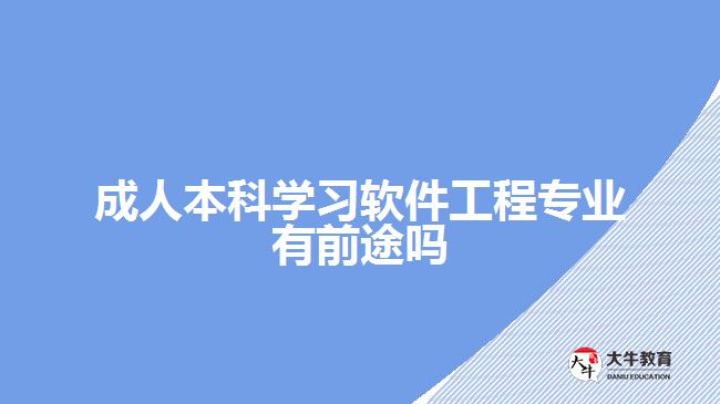 成人本科學習軟件工程專業(yè)有前途嗎