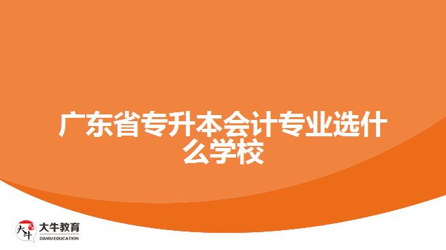 廣東省專升本會計專業(yè)選什么學(xué)校好