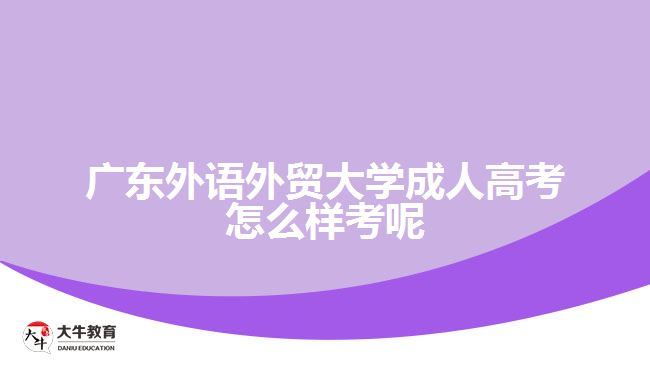 廣東外語外貿(mào)大學(xué)成人高考怎么樣考呢