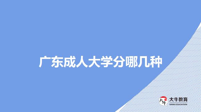 廣東成人大學分哪幾種