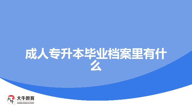 成人專升本畢業(yè)檔案里有什么