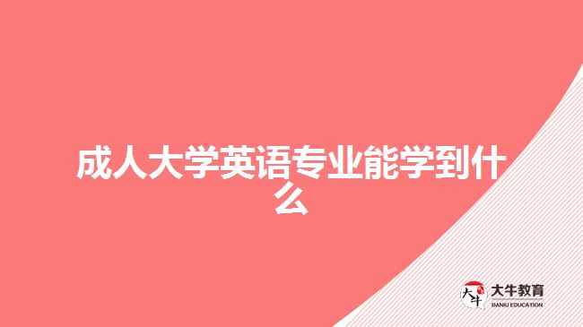 成人大學英語專業(yè)能學到什么