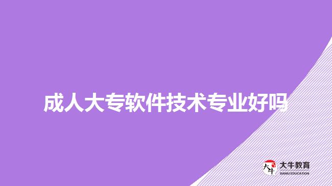 成人大專軟件技術(shù)專業(yè)好嗎