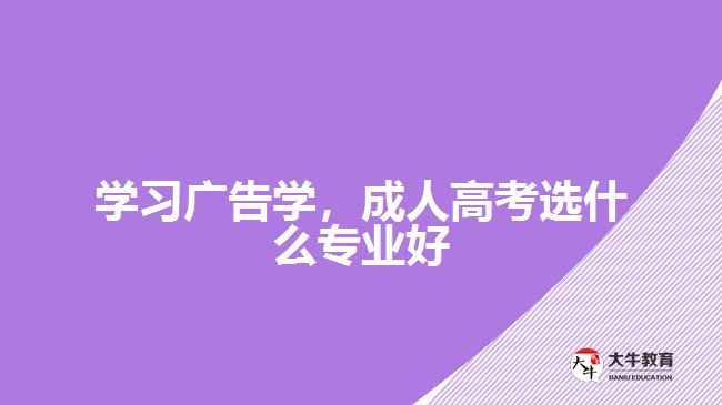 學習廣告學，成人高考選什么專業(yè)好