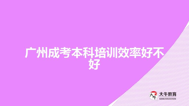 廣州成考本科培訓(xùn)效率好不好