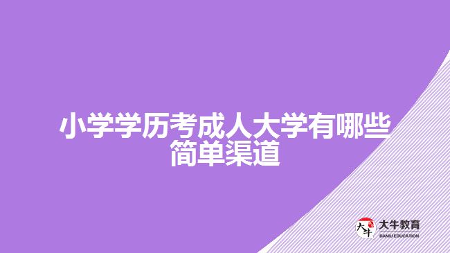 小學(xué)學(xué)歷考成人大學(xué)有哪些簡單渠道