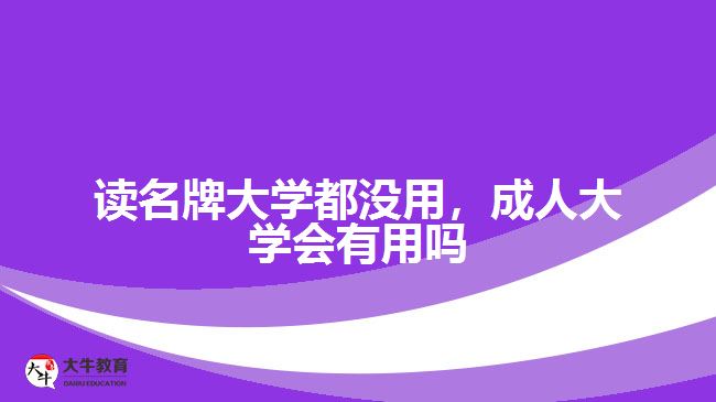 讀名牌大學(xué)都沒用，成人大學(xué)會(huì)有用嗎