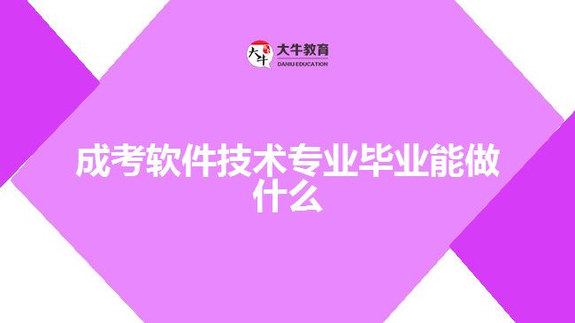 成考軟件技術(shù)專業(yè)畢業(yè)能做什么