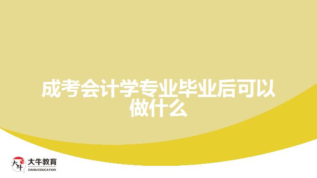 成考會計學專業(yè)畢業(yè)后可以做什么