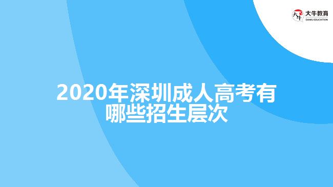 2020年深圳成人高考有哪些招生層次