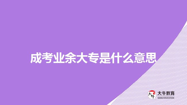 成考業(yè)余大專是什么意思