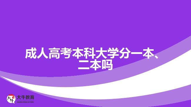 成人高考本科大學分一本、二本嗎