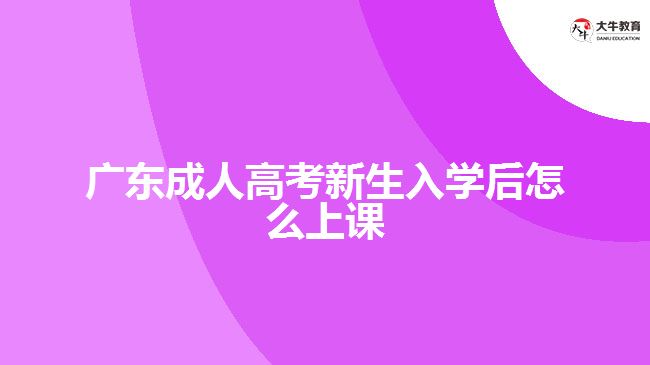 廣東成人高考新生入學后怎么上課