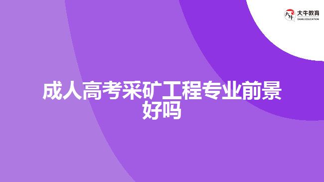 成人高考采礦工程專業(yè)前景好嗎