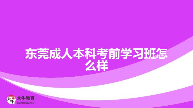 東莞成人本科考前學(xué)習(xí)班怎么樣