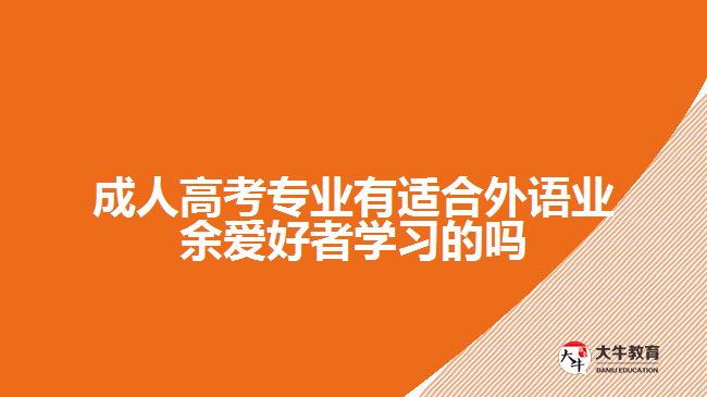 成人高考專業(yè)有適合外語業(yè)余愛好者學(xué)習(xí)的嗎