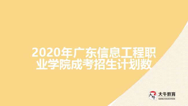 2020年廣東信息工程職業(yè)學(xué)院成考招生計(jì)劃數(shù)