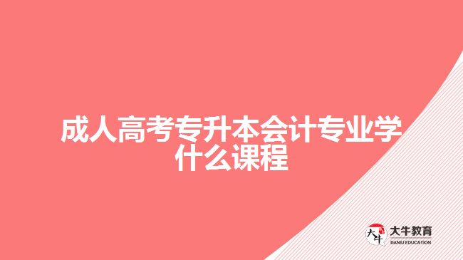 成人高考專升本會計(jì)專業(yè)學(xué)什么課程