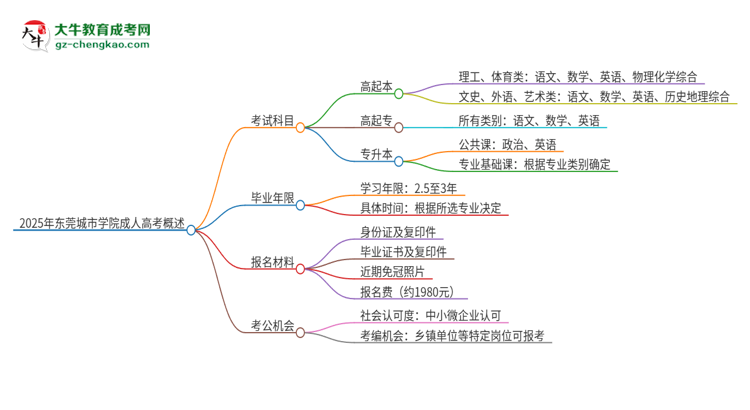 2025年東莞城市學院成人高考入學考試考幾科？思維導(dǎo)圖