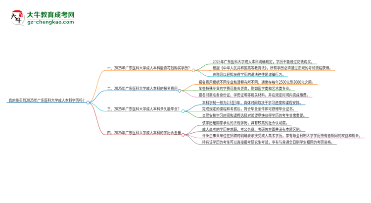真的能買到2025年廣東醫(yī)科大學(xué)成人本科學(xué)歷嗎？思維導(dǎo)圖