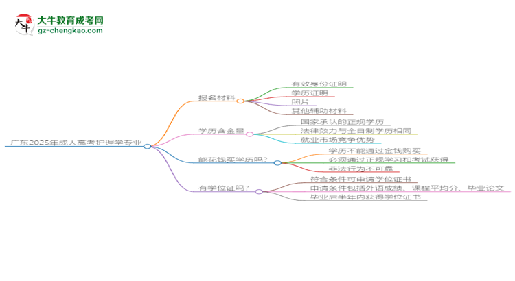 廣東2025年成人高考護理學專業(yè)學歷能考公嗎？思維導圖