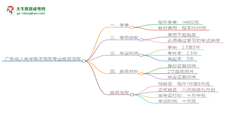 廣東成人高考電子商務專業(yè)2025年報名流程思維導圖