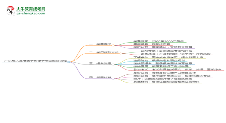 廣東成人高考醫(yī)學(xué)影像學(xué)專業(yè)2025年報(bào)名流程思維導(dǎo)圖