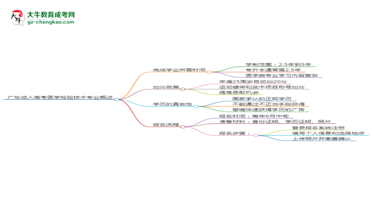 廣東成人高考醫(yī)學檢驗技術專業(yè)需多久完成并拿證？（2025年新）思維導圖