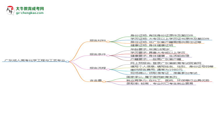 廣東2025年成人高考化學(xué)工程與工藝專業(yè)學(xué)歷能考公嗎？思維導(dǎo)圖