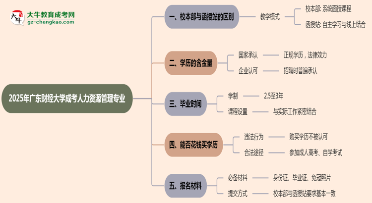 廣東財經(jīng)大學2025年成考人力資源管理專業(yè)校本部和函授站哪個更好？思維導圖