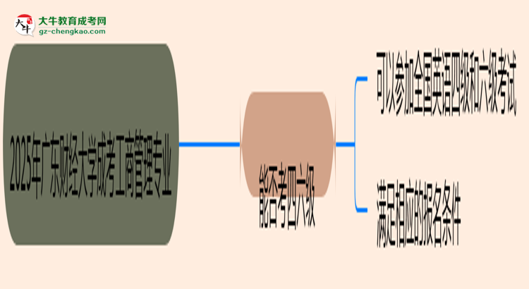 廣東財經(jīng)大學(xué)2025年成考工商管理專業(yè)生可不可以考四六級？思維導(dǎo)圖