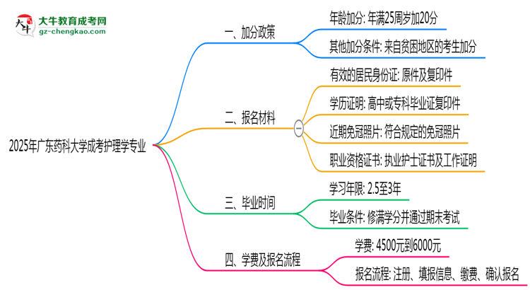 2025年廣東藥科大學成考護理學專業(yè)最新加分政策及條件思維導圖