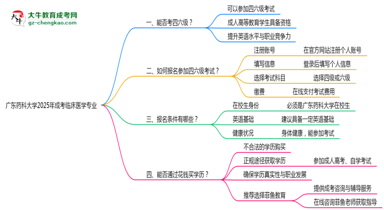 廣東藥科大學(xué)2025年成考臨床醫(yī)學(xué)專業(yè)生可不可以考四六級(jí)？思維導(dǎo)圖