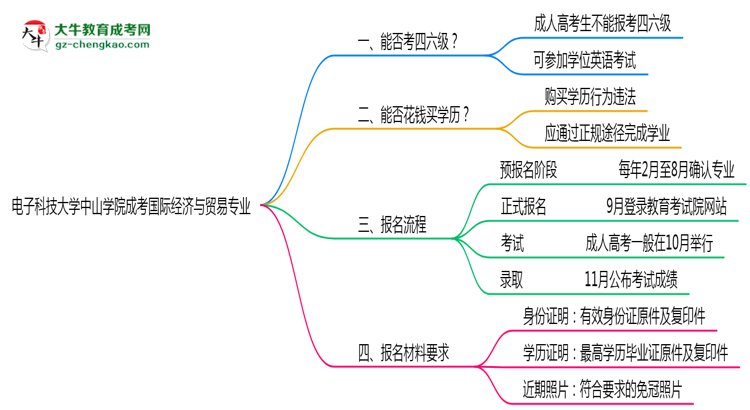 電子科技大學(xué)中山學(xué)院2025年成考國際經(jīng)濟(jì)與貿(mào)易專業(yè)生可不可以考四六級(jí)？思維導(dǎo)圖